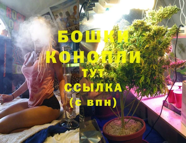 каннабис Новозыбков