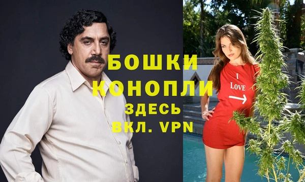 каннабис Новозыбков
