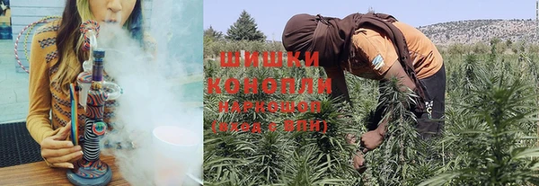 каннабис Новозыбков