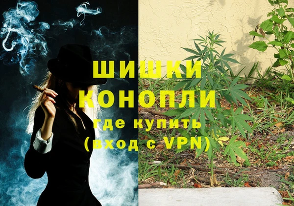 ПСИЛОЦИБИНОВЫЕ ГРИБЫ Нефтегорск