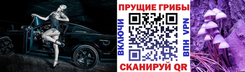 ссылка на мегу ссылка Мамадыш Псилоцибиновые грибы мицелий сколько стоит